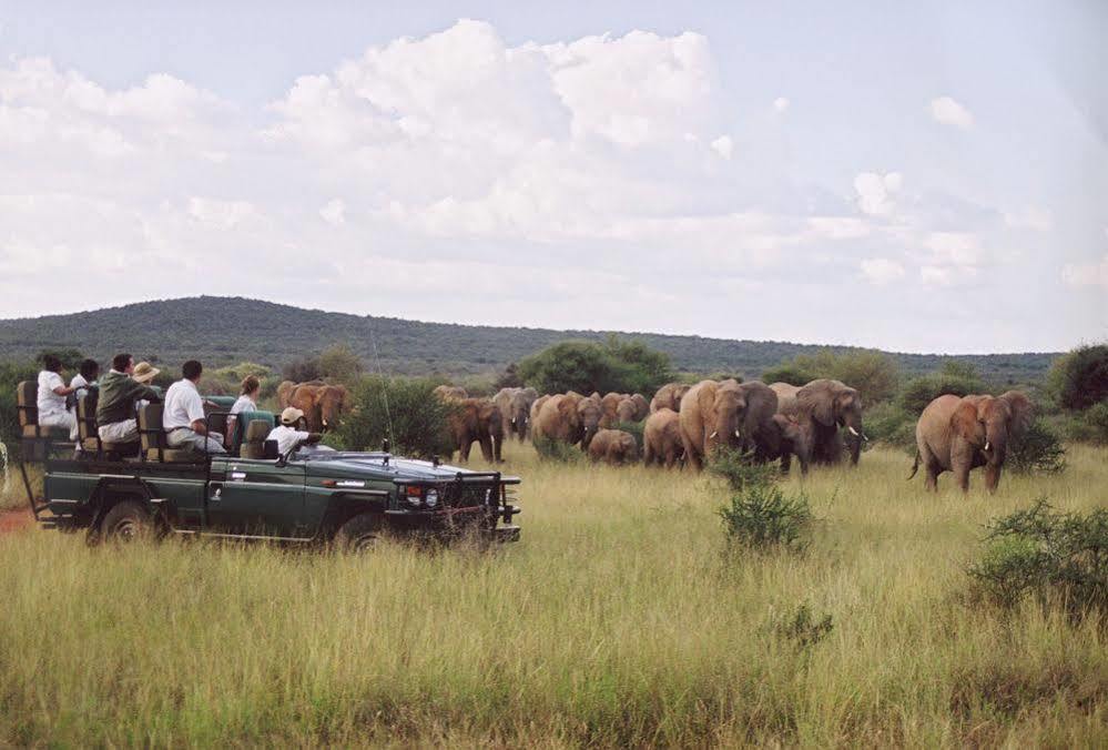 Sanctuary Makanyane Safari Lodge Madikwe Game Reserve Exterior foto